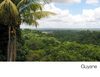 Souvenirs de Guyane