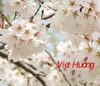 Viet Huong
