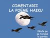 COMENTARII LA POEME HAIKU