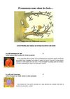 Histoires sur le thème des bois et de la forêt