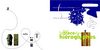 Sur la trace des hiéroglyphes