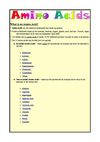 About Amino Acids