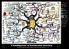 7 Intelligences of Accelerated Learning Motivational Mind Map Poster