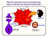 imagerie cerebrale en psychologie cognitive cours 8