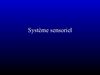 Système sensoriel