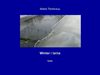 Winter / Iarna tanka RO-EN