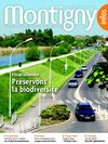 montigny_infos_été_2008