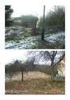 Molvange-Friches