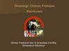 Gilles Testard-Dressage Chasse Pratique-Retriever