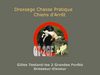 Gilles Testard-Dressage Chasse Pratique-Chiens d'Arrêt