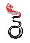 Recherche illustrations sur le thème Musique et mer : Les poissons instruments