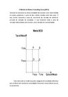 O Modelo do Bóston Consulting Group