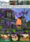 Prim Perfect: Issue 15 - February 2009