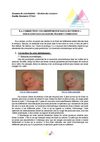 Dewintre Emilie : La correction couleur des videos
