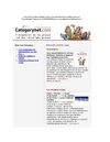 Categorynet.com du 4 février 2009