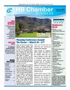 February 2009 Chamber Newsletter