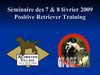 Gilles Testard-Positive Retriever Training