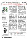 Toulouse7notrequartier journal n°25