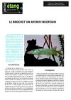 Le brochet et sa reproduction