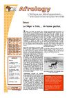 AfroNews