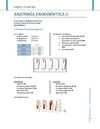 Anatomia de conductos II