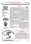 Toulouse7notrequartier journal n°26