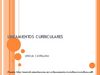 Lineamientos