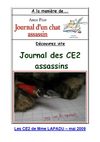 JOURNAL D'UN CHAT ASSASSIN