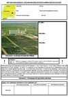 Un paysage rural : Une exploitation agricole dans l'Illinois (Fiche Ooo)