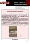 AFINNewsletter3