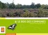 LE BOIS DES COMMUNES