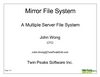 Mirror File System - TwinPeakSoft