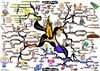 Universal Law of Belief Mind Map