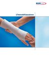 Immobilizzazione_Cat_H0109