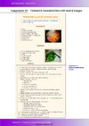 Web Design Manual Part 1 - Assign 10