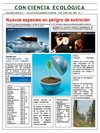 reportaje