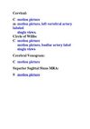 Vascular Anatomy http://mediccall.blogspot.com/2009/06/vascular-anatomy.html