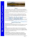 Discover Your Chamber 2009