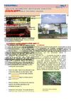 BOLETIN IE SAN PABLO VICTORIA CALDAS