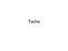 TACHES