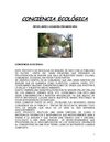 proyecto escolar de reciclaje en mexico