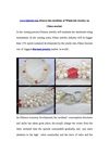 www.bjbead.com discern the condition of Wholesale Jewelry on China market 