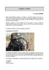 Le MilSim en Airsoft par Johan Romand