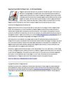 Negative Calorie Diet for Weight Loss - An Unbiased Review
