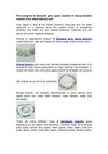 The category of discount grey agate jewelry in cheap jewelry market from www.bjbead.com