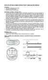Guía de estudio Regulación génica