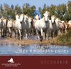 Guide des Saintes Maires de la Mer, Capitale de la Camargue