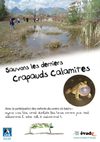 Sauvons les derniers crapauds calamites