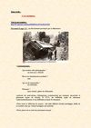 3ème - La Seconde Guerre mondiale - cours intégral