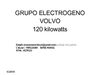 GRUPO ELECTROGENO VOLVO 125 KILOWATTS